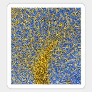 Glial cells, confocal light micrograph (C003/2266) Sticker